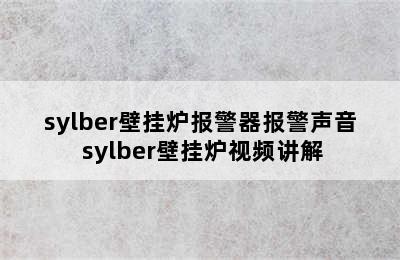 sylber壁挂炉报警器报警声音 sylber壁挂炉视频讲解